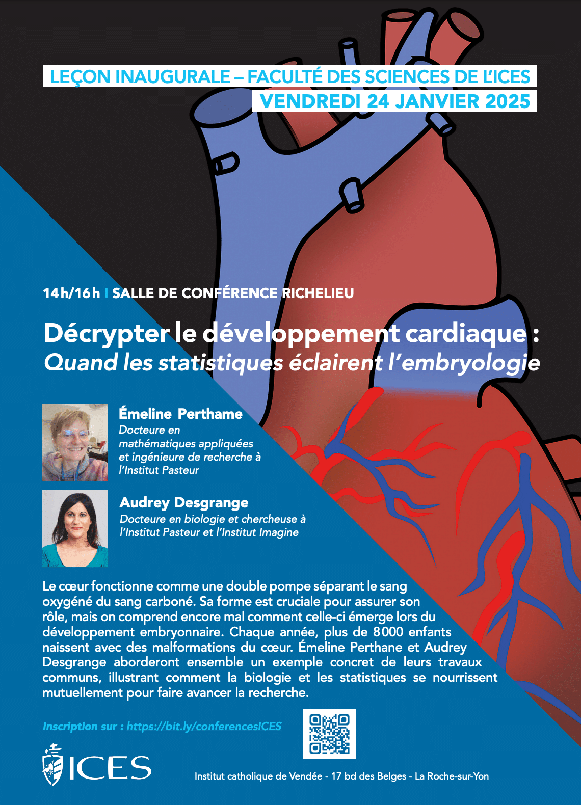 Décrypter le développement cardiaque : Quand les statistiques éclairent l'embryologie